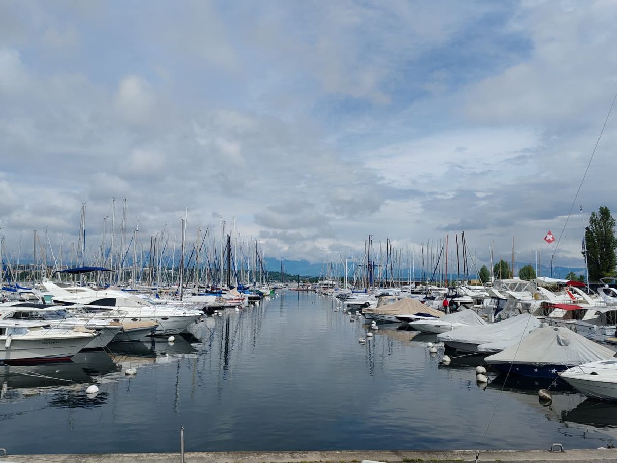 El puerto deportivo de Ginebra lleno de veleros