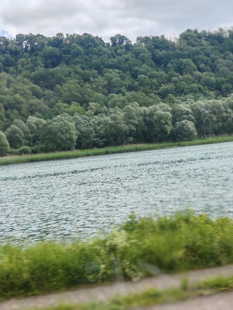 Orilla verde del río desde el tren