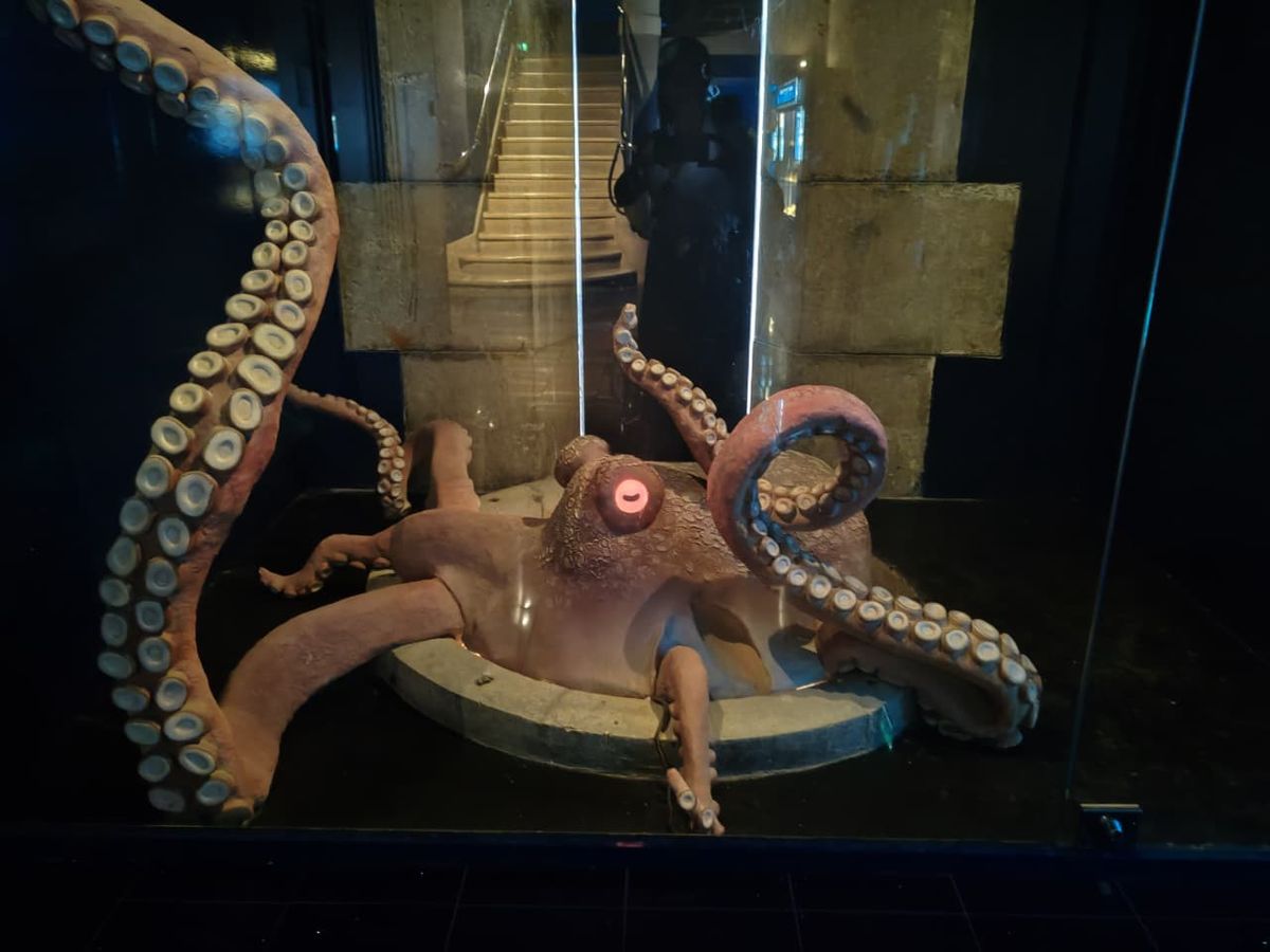 Pulpo gigante en exhibición en el museo