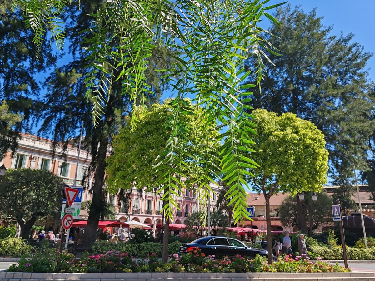 La plaza del casino de Montecarlo con sus jardines